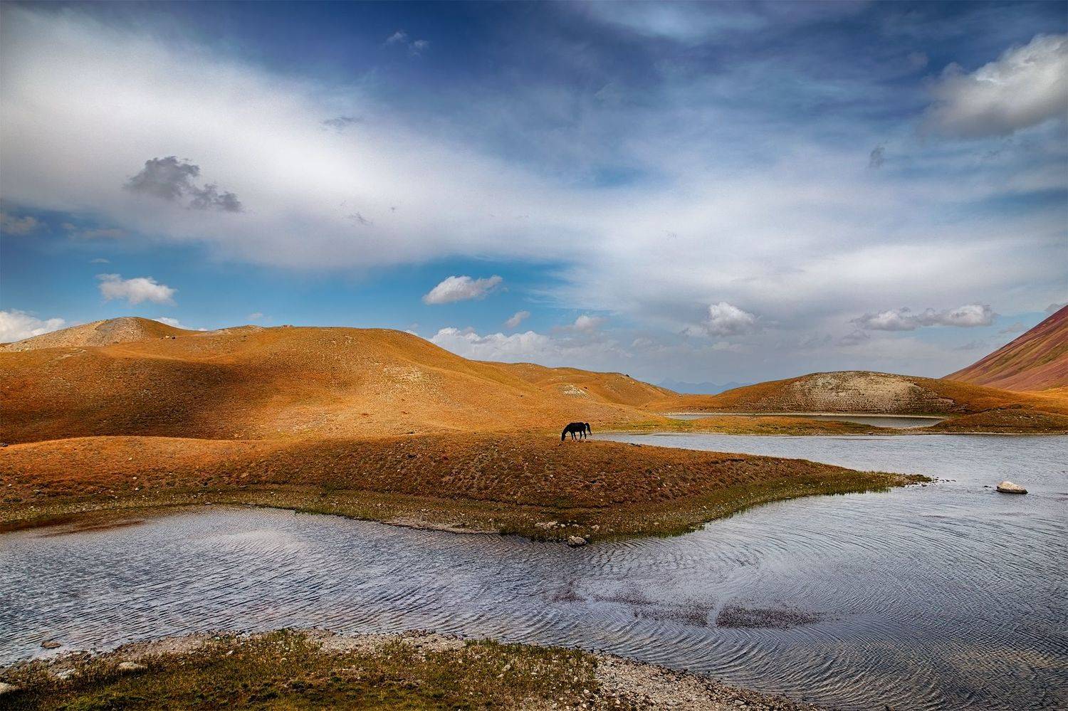 кыргызстан, памиро-алай,, Элина Магалимова