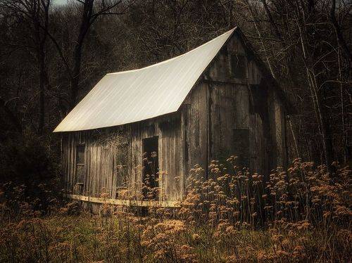 Lonely Cabin
