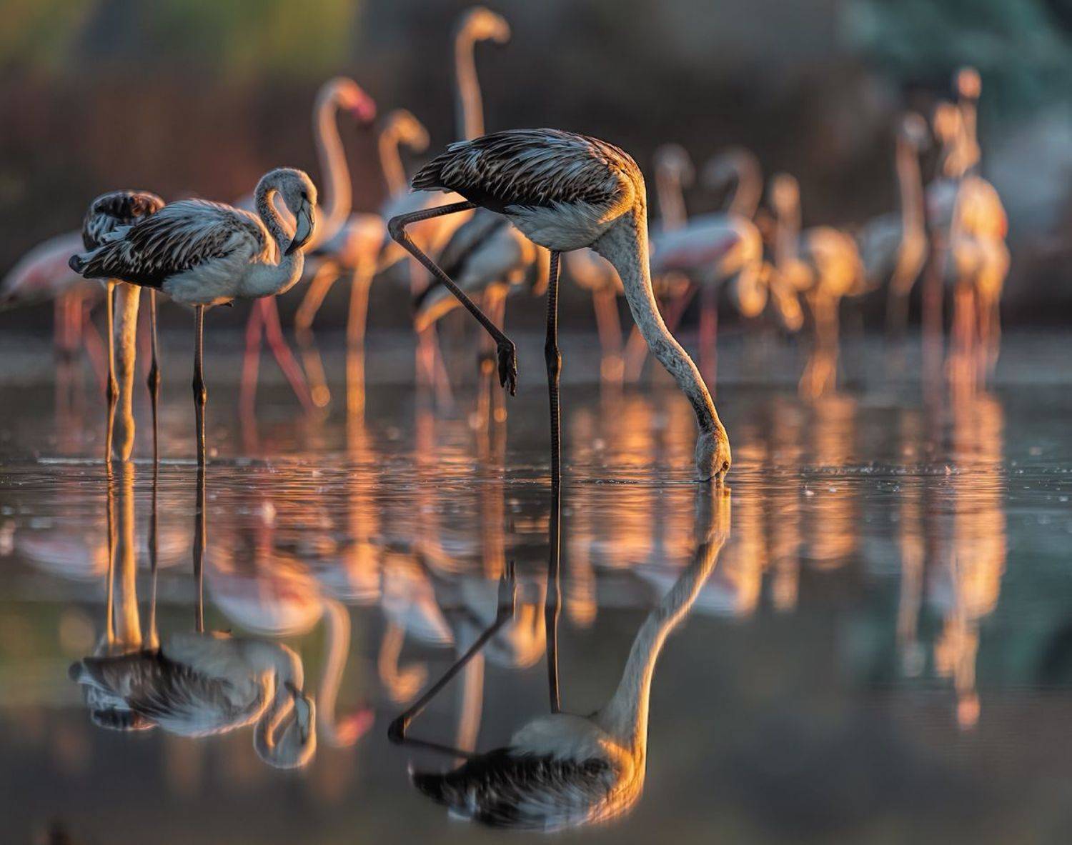 , Sławek Przybylski