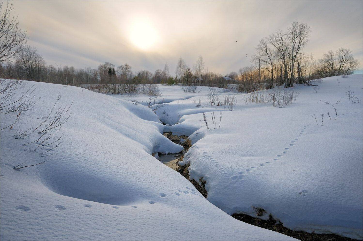 , Анатолий Гулин