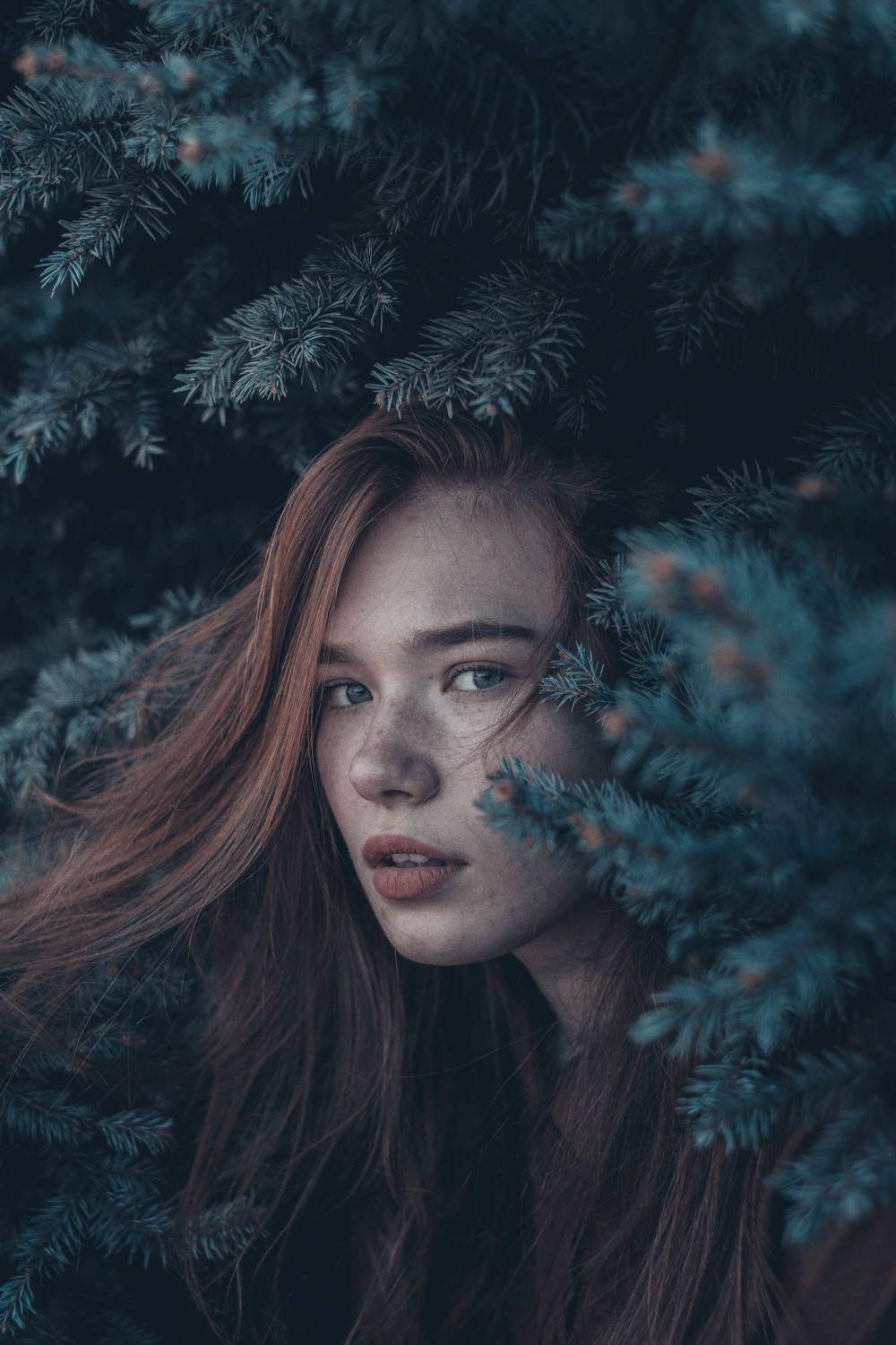 35mm, 4x5, 6x6, 6х6, 85mm, Art, Artnude, Ballerina, Ballet, Battur, Beautiful, Beauty, Canon, Canon 5D Mark III, Car, Color, Dance, Dress, Emotion, Eyes, Face, Flowers, Ganzo, Genre, GirlHair, Hero,LightLilac, Model, Mongol, Mongolia, Вероника Гергерт