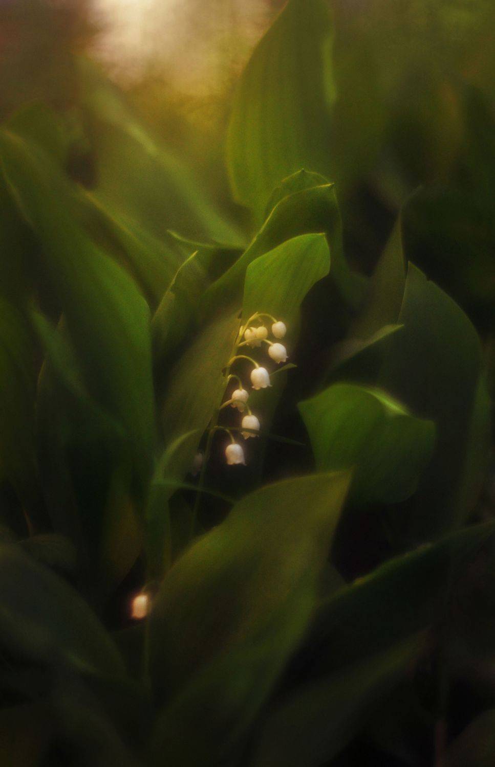 , Буглак Инна