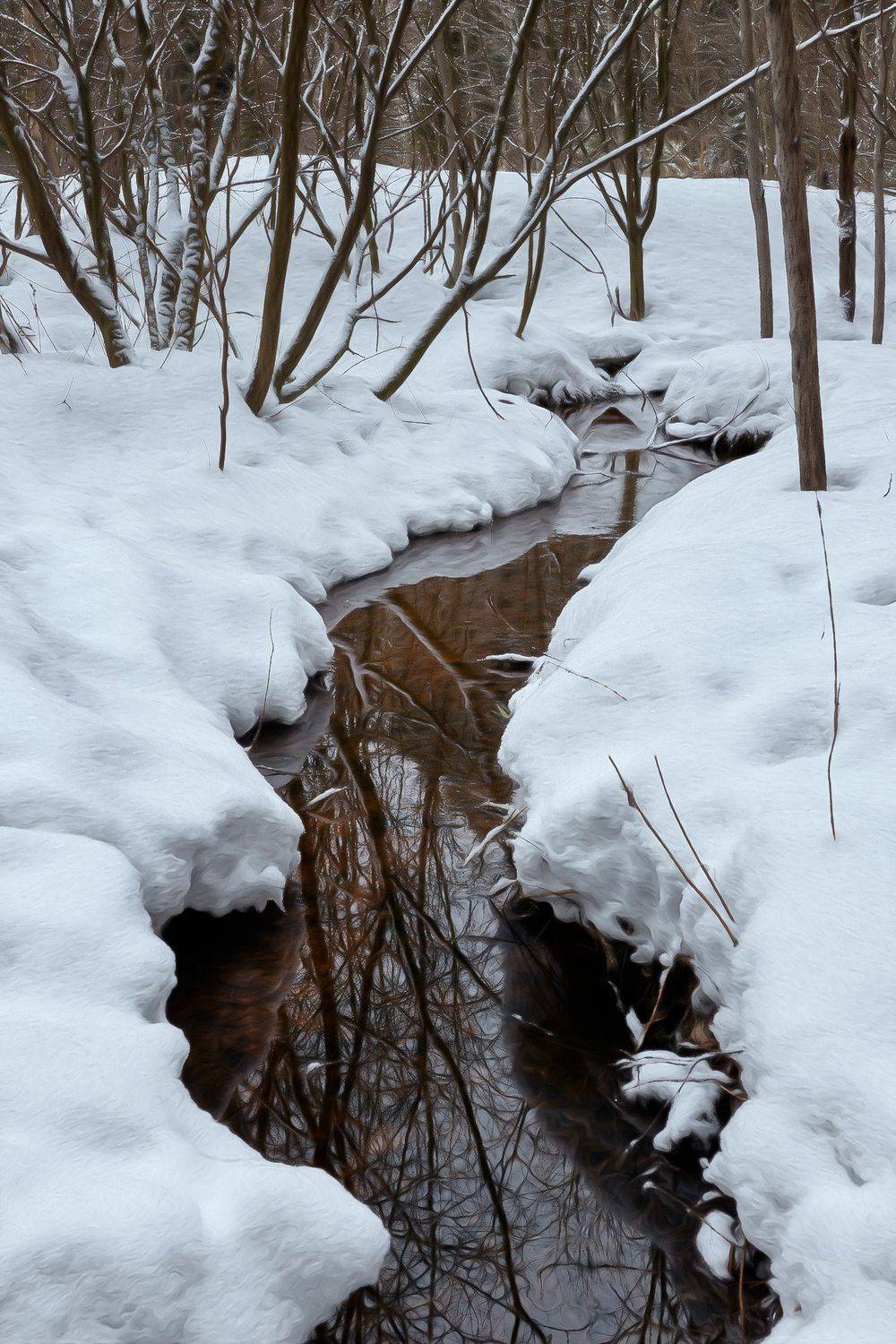 ручей,зима,лес, снег, Валерий Вождаев