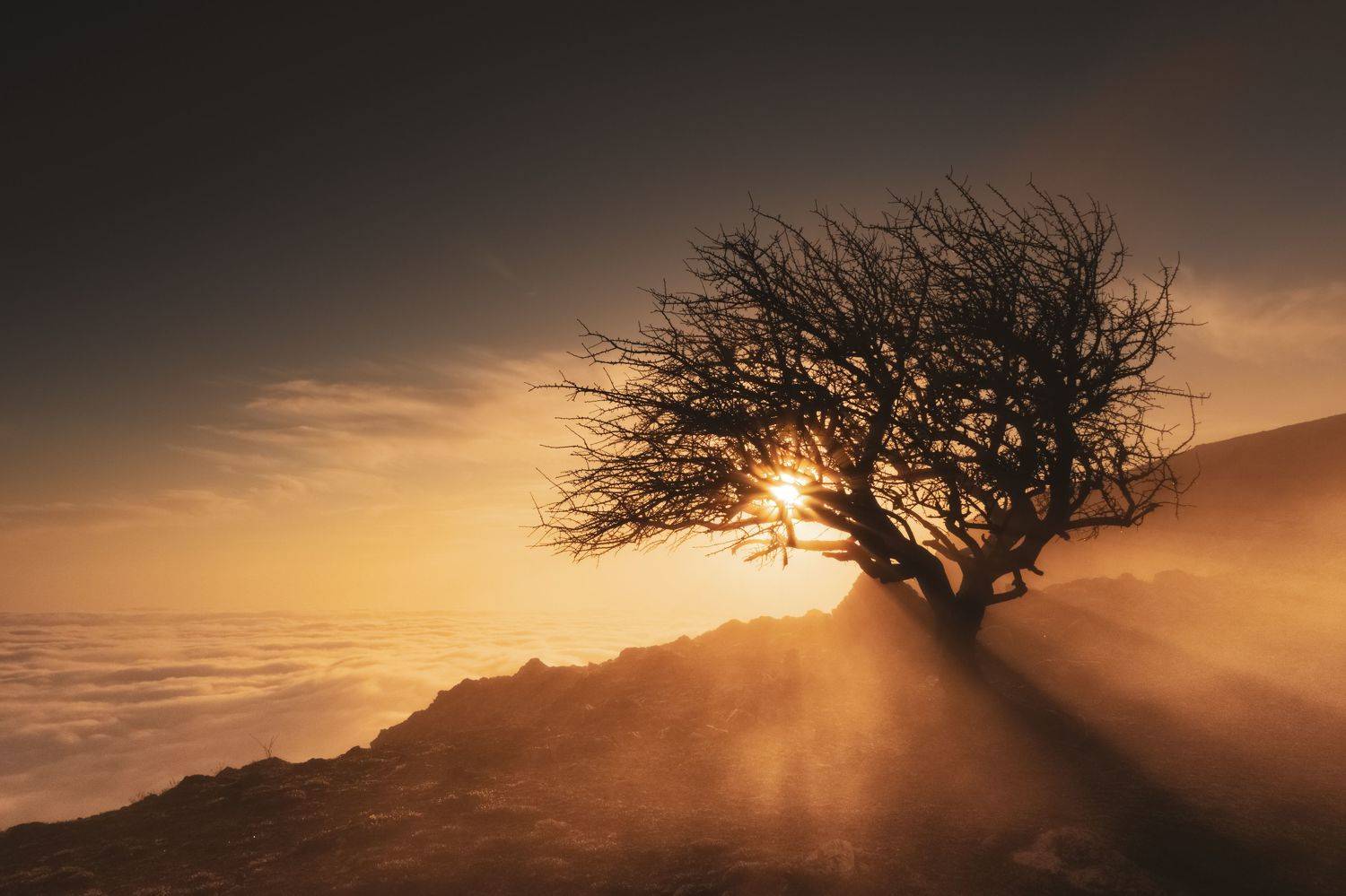 , Кривцов Андрей