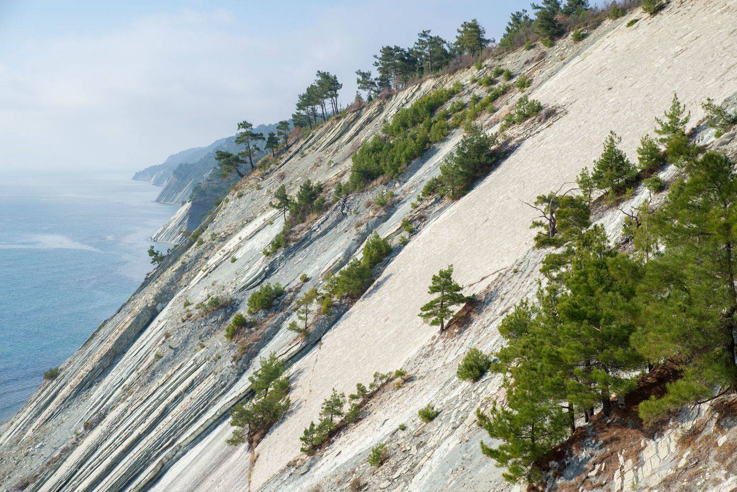 , Сергей Тихомиров