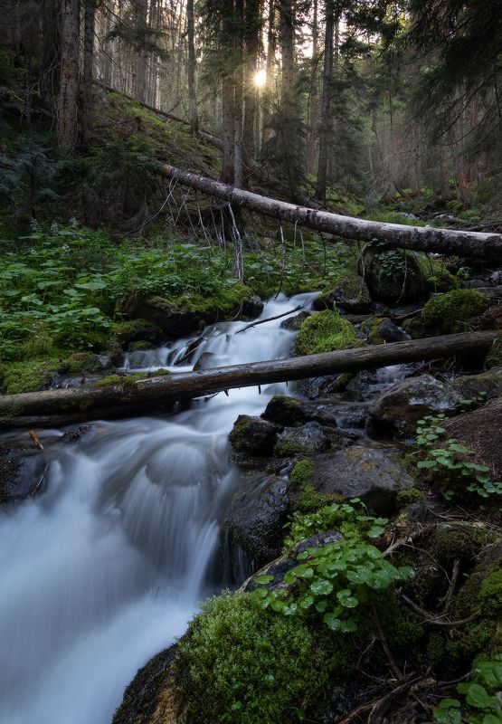 ... фото превью