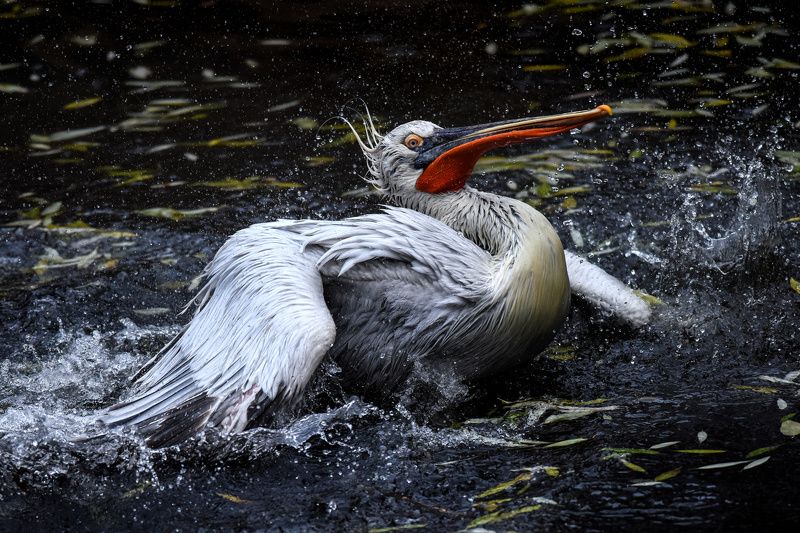 На взлет фото превью