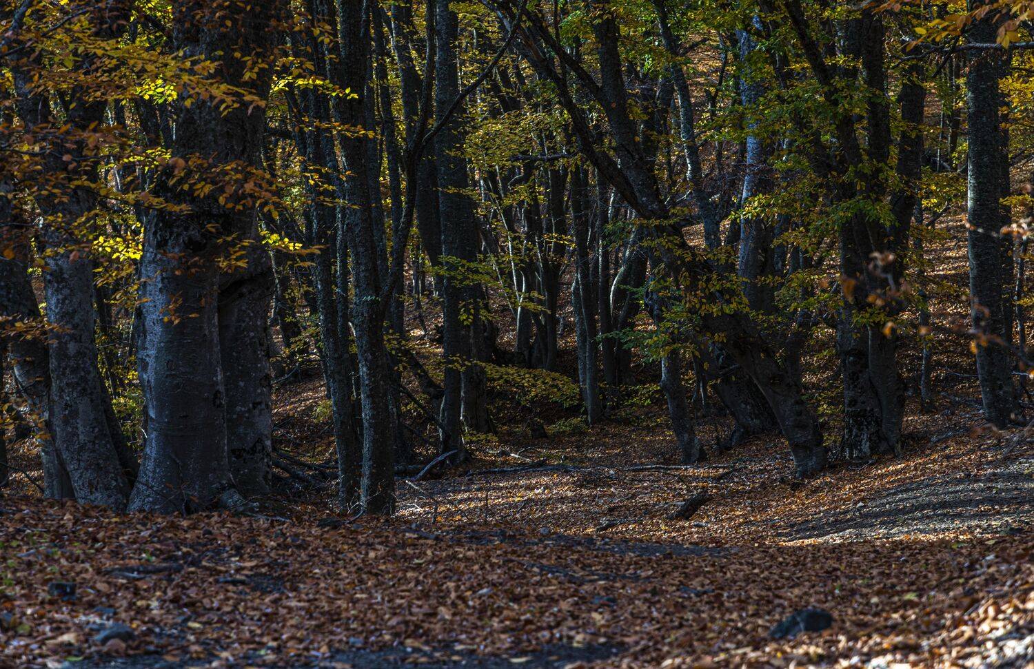 Крым, Сергей