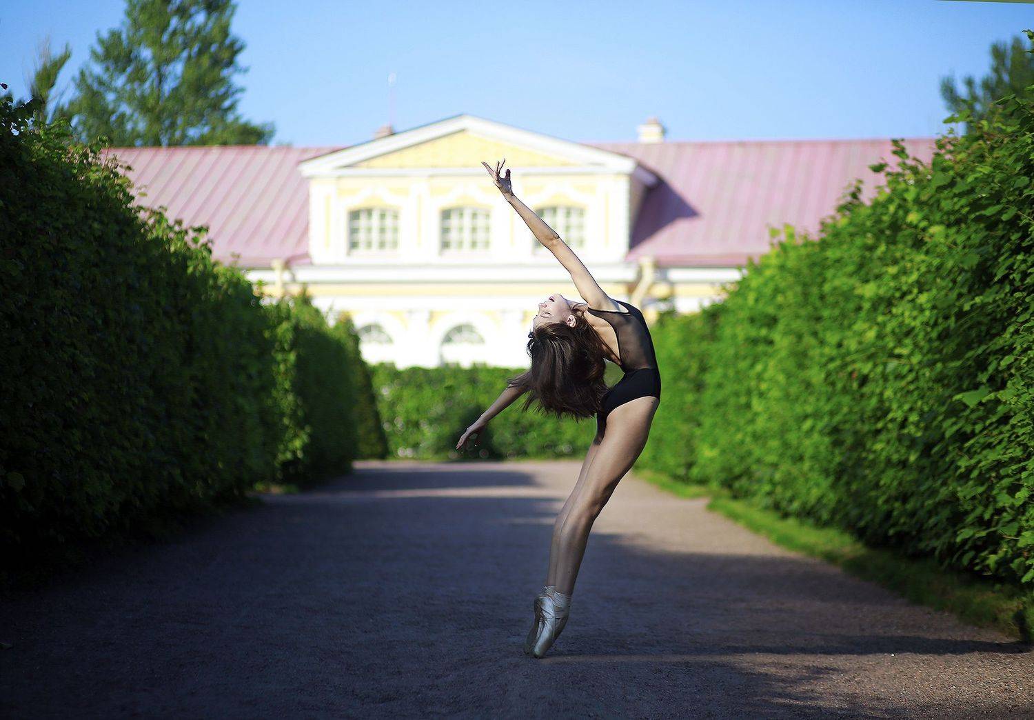 девушка, красивая, балерина, балет, гибкость, композиция, фотография, цвет, свет, Постонен Екатерина