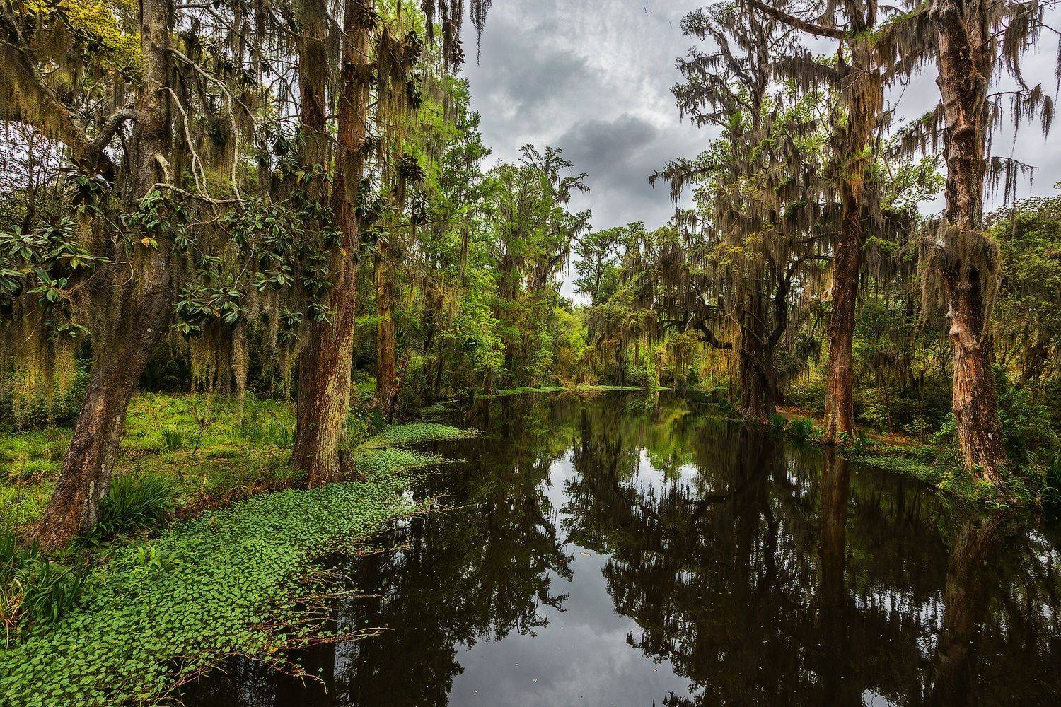 , Леонид Дьяченко