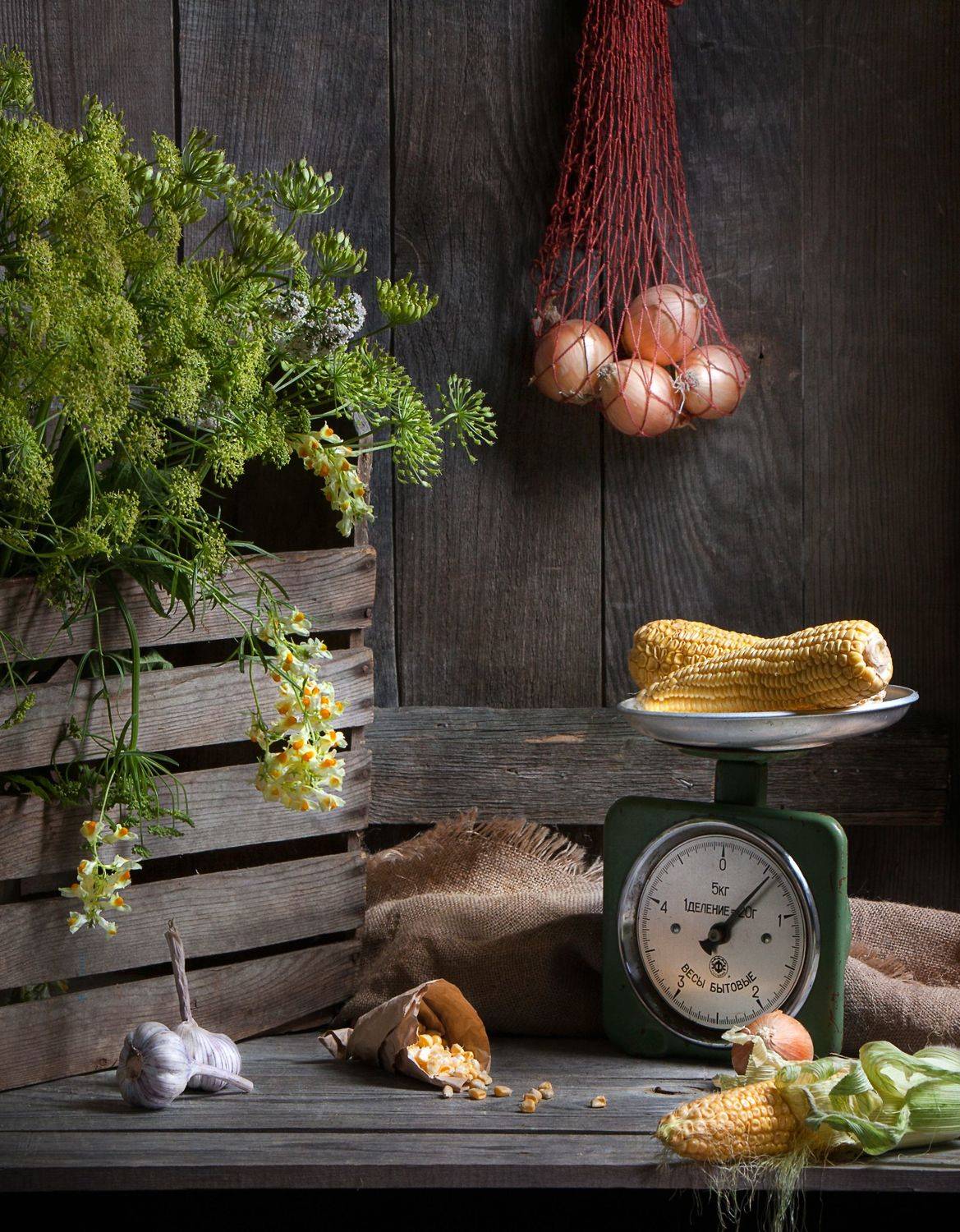 , Татьяна Попова