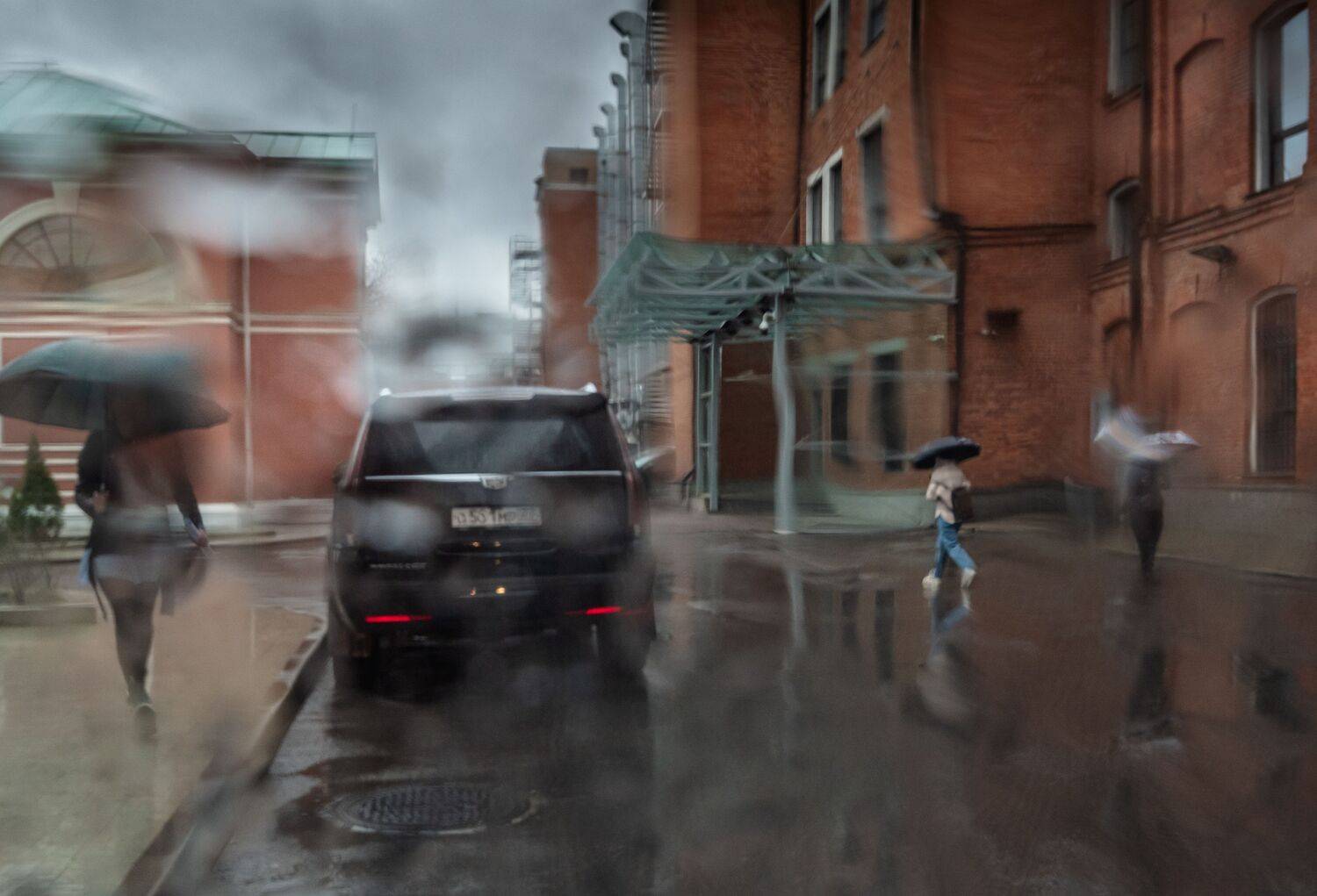 , Курлянцев Алексей