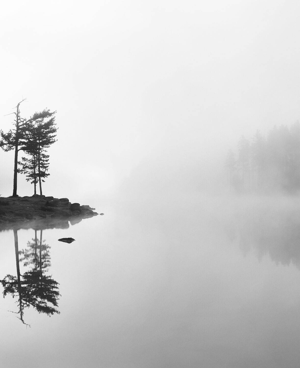 , Герчев Николай