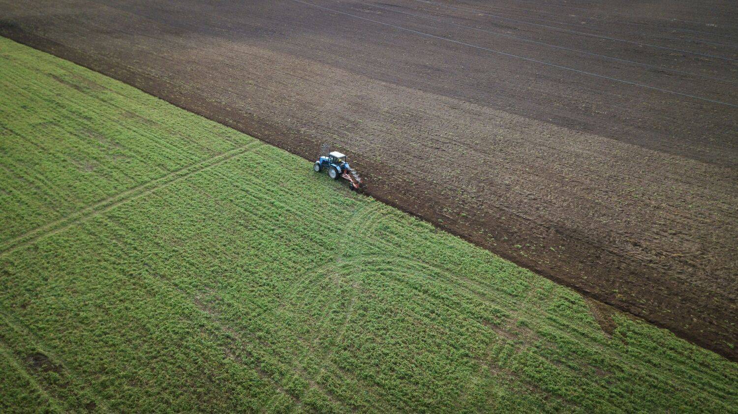 , Сергей Фаренюк