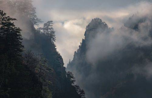 В ожидание света