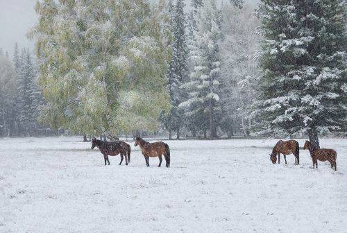 В утренней прохладе