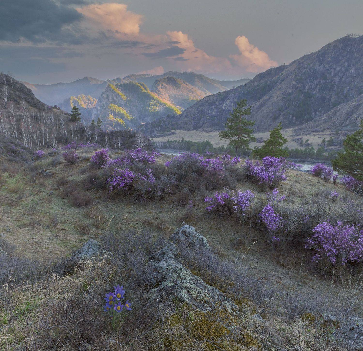 Фототуры с Владимиром Рябковым, #topnature #russpasibo #magic_shots #lovelyRussia #sunset_vision #exclusive_sky  #exclusive_shots #loves_russia2 #photoarena_nature #nature_sultans #nature_perfection #rsa_sky #rsa_sunset #photorussia #rsa_naturepics #sunse, Владимир Рябков