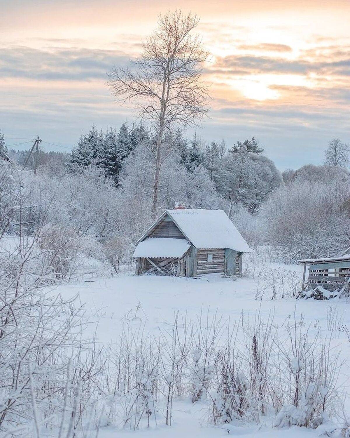 , Петр Косых