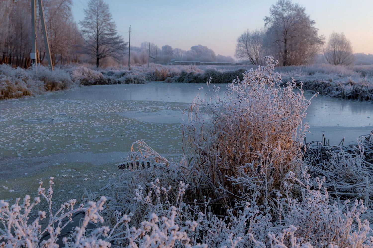 водоем, утро, мороз, иней, зима, пейзаж , Юрий Морозов