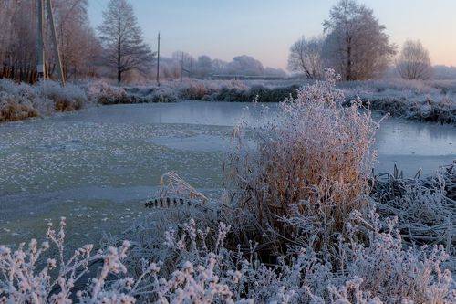 Морозным утром