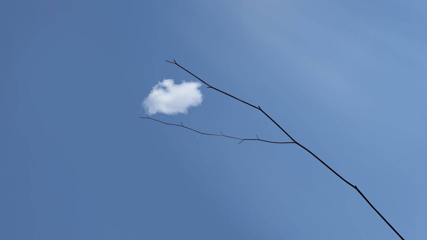 , Alex Yungan Harahap