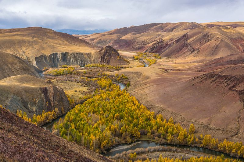 алтай, осень, кызыл шин, Кызыл-Шин. Алтай. фото превью