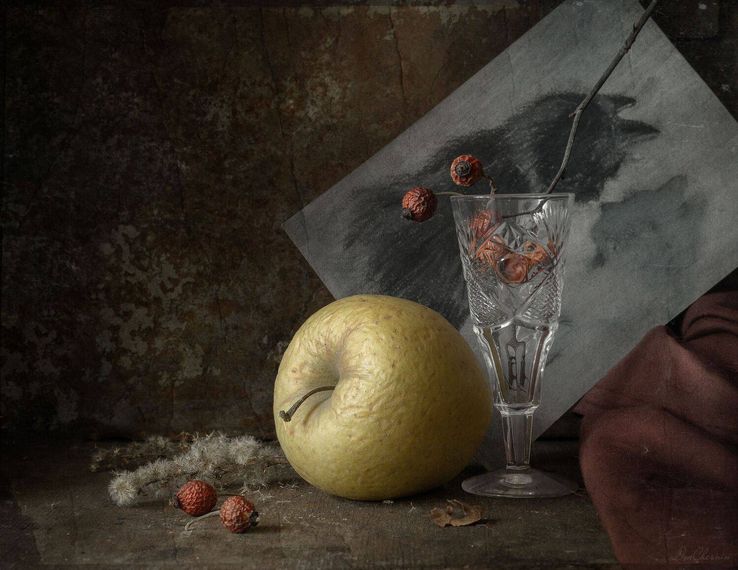 , Чернин Дмитрий