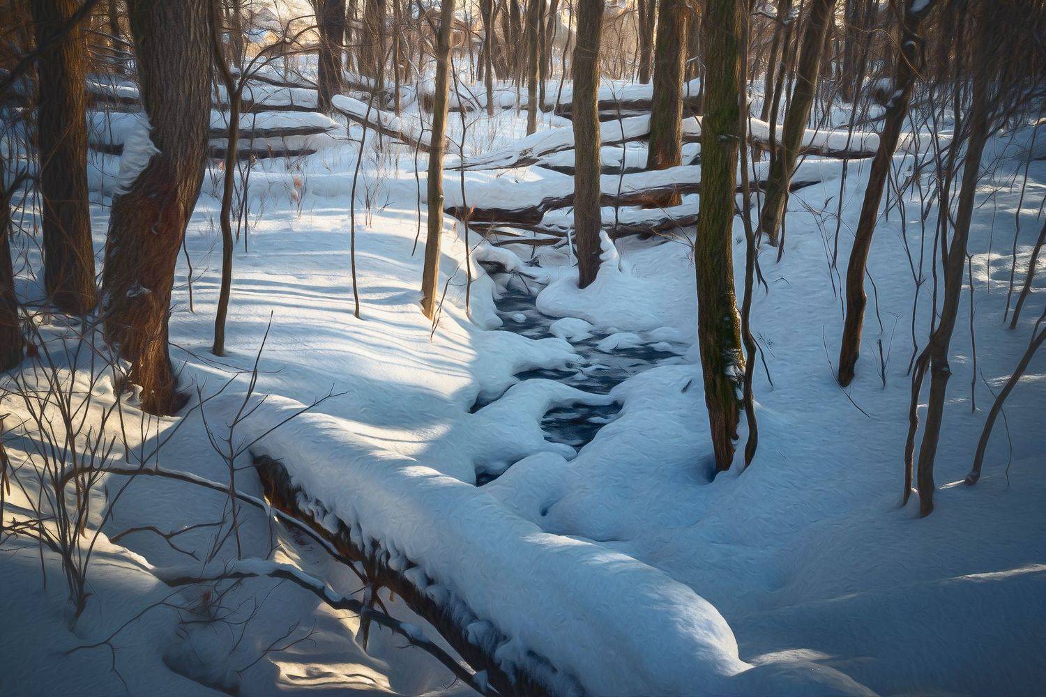 лес, зима, снег, деревья, пейзаж, Валерий Вождаев