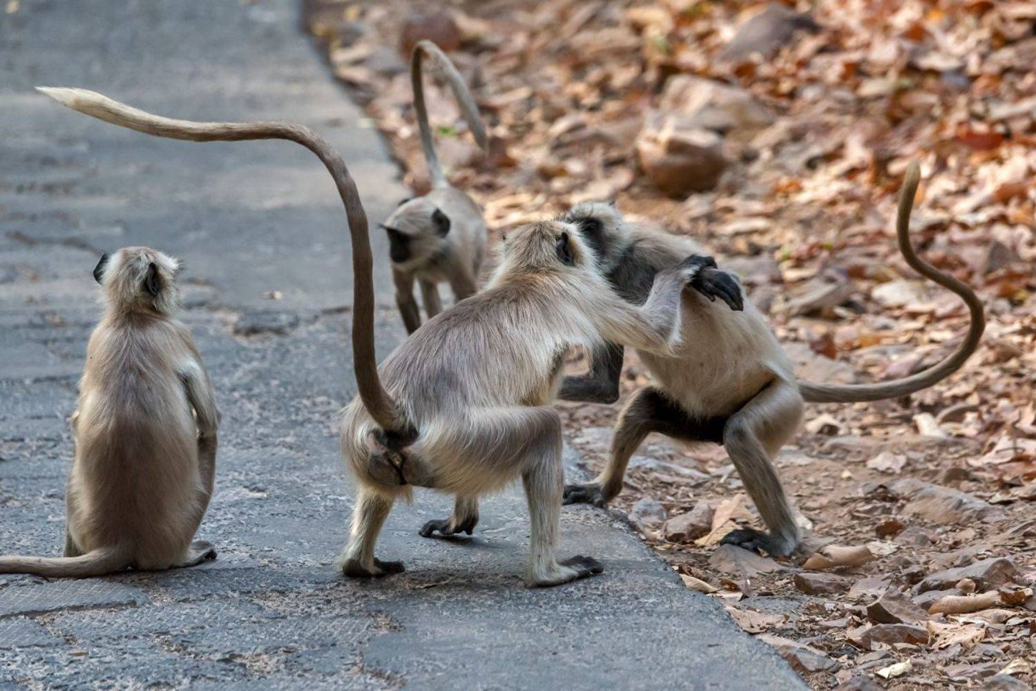 , Гордонов Юрий