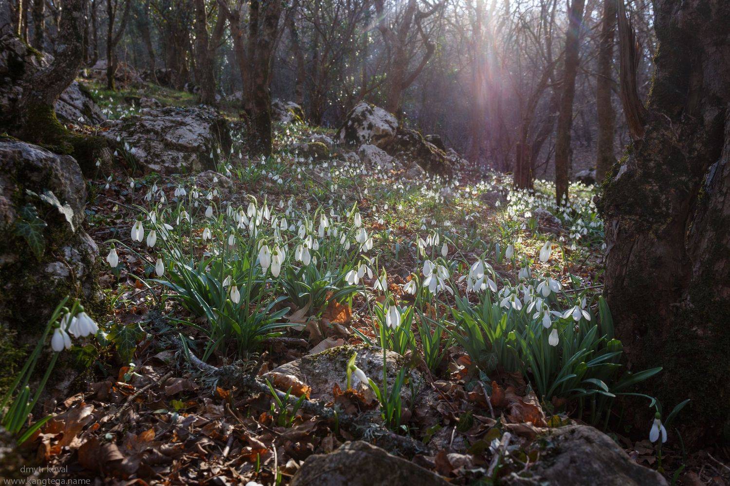 дмитр коваль, гималаи и крым вне треков, пейзаж как магия, Коваль Дмитр
