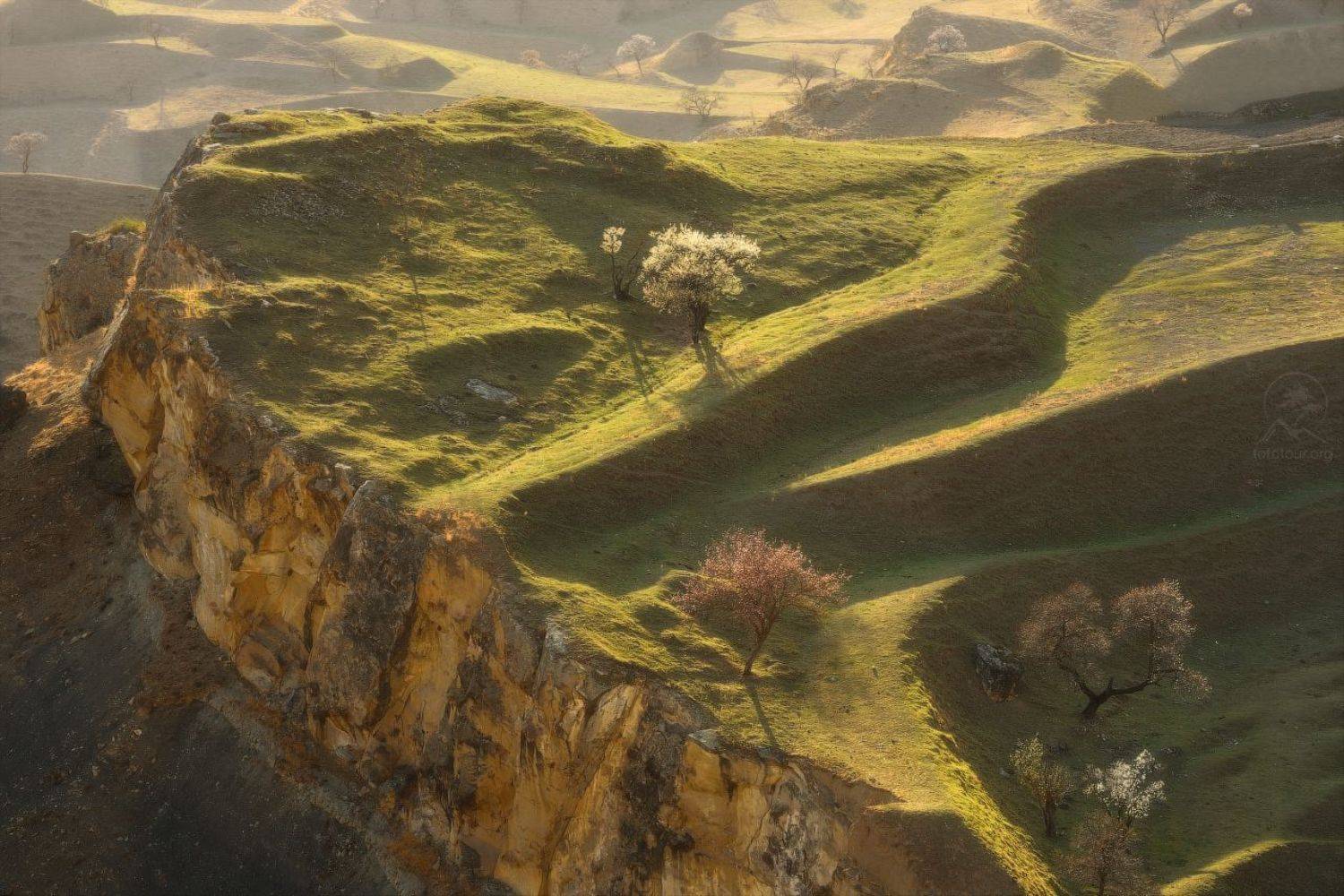 дагестан, террасы, чох, кавказ, фототур на майские праздники, дагестан на майские праздники, деревья, холмы, фототур в дагестан, дагестанские террасы, гунибский район, Гордиенко Анатолий