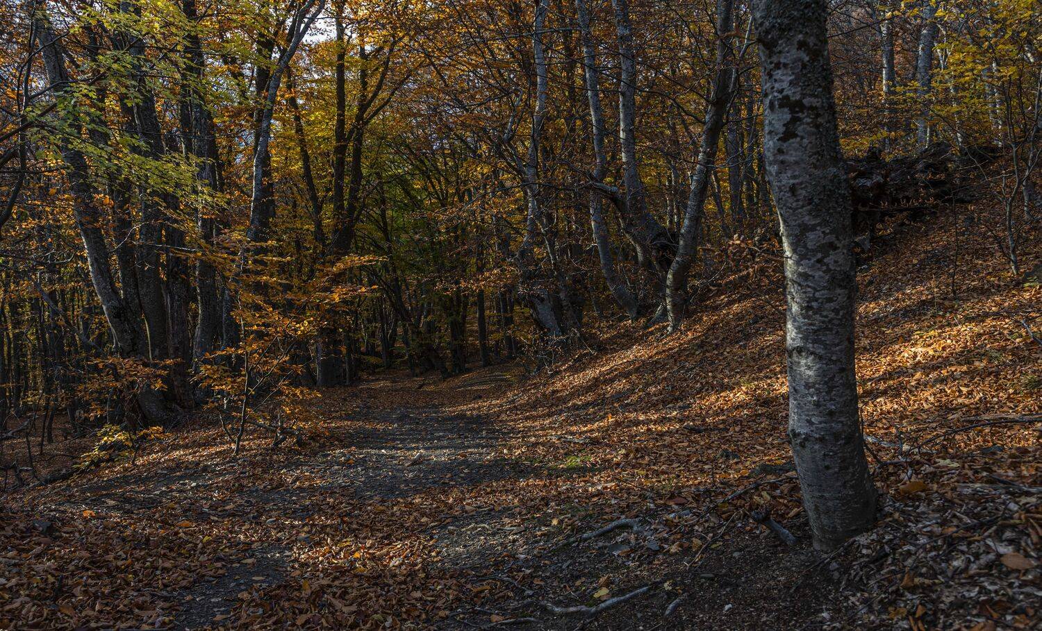 Крым, Сергей