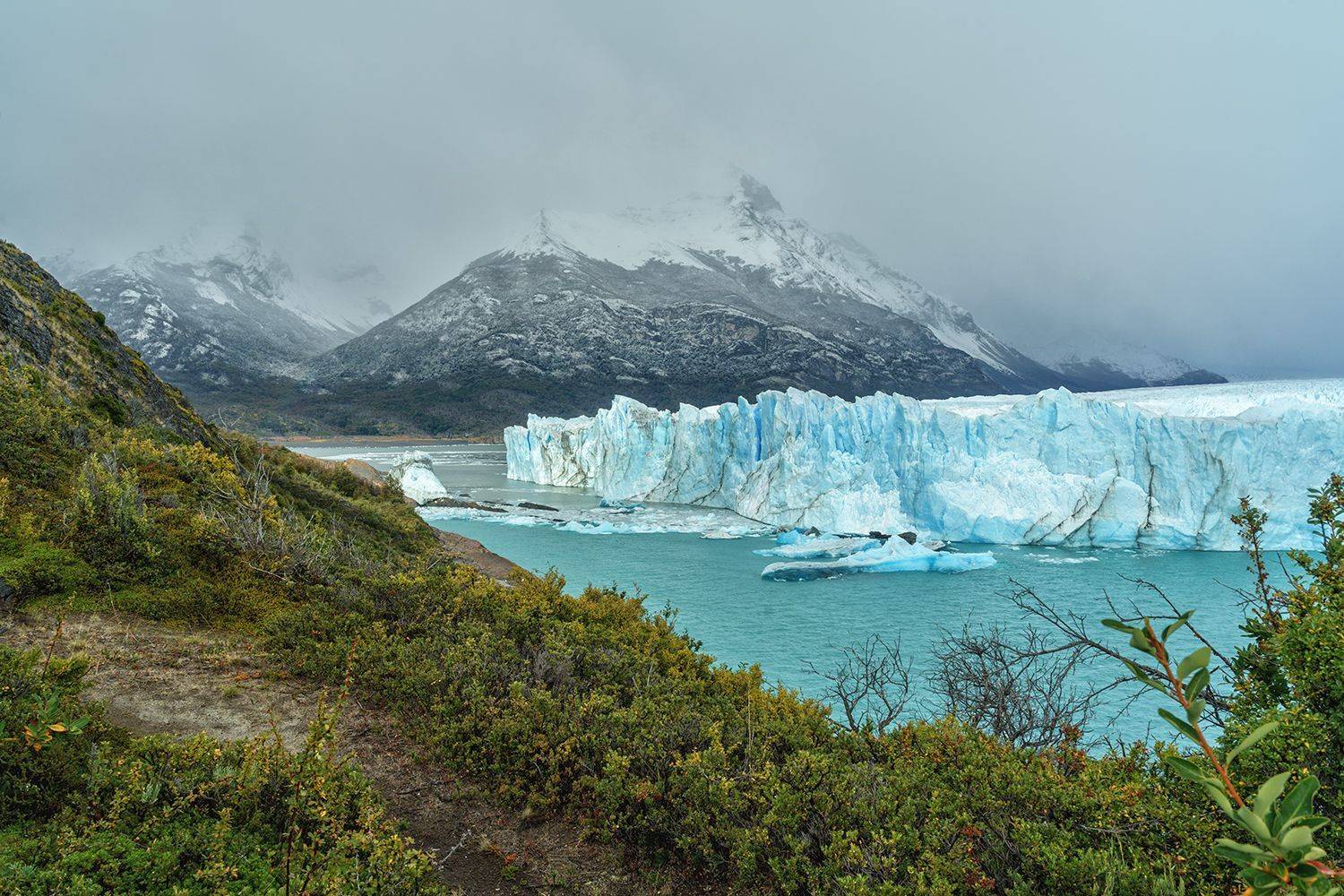 , Лариса Николаевна Дука
