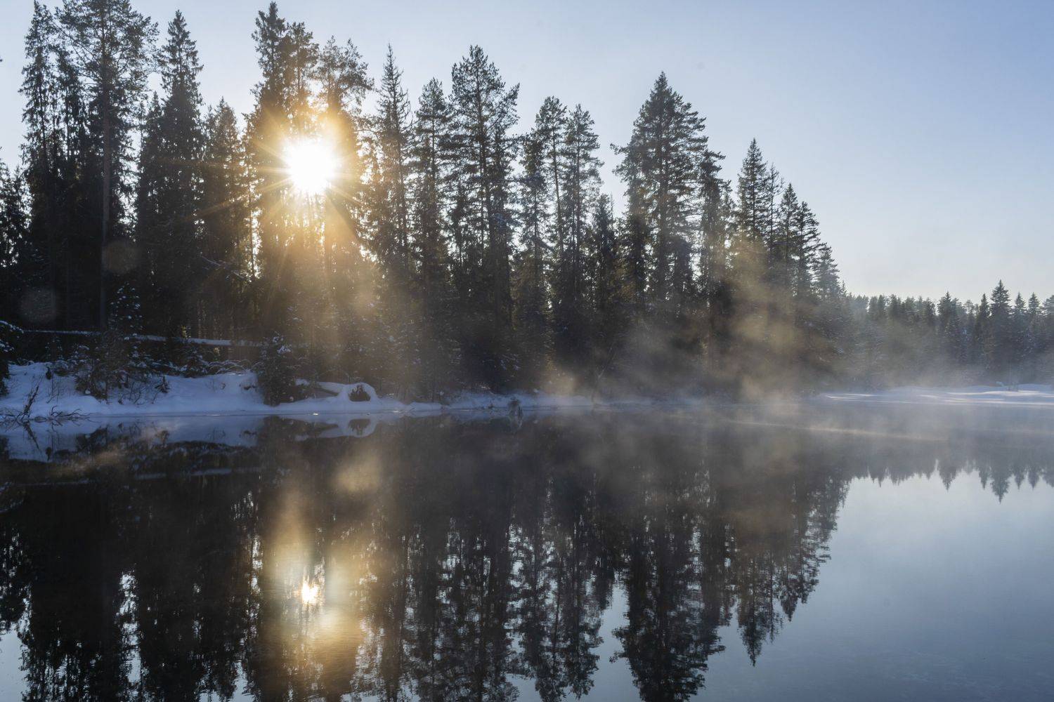, Галина Луценко