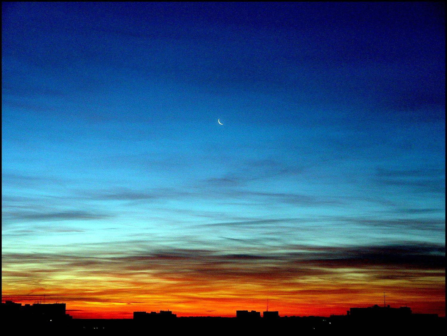 , Меднов Влад