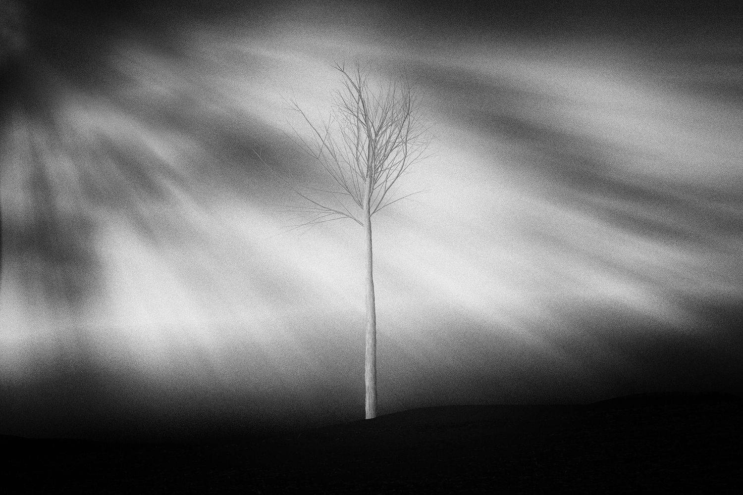 , Мариана Добрева