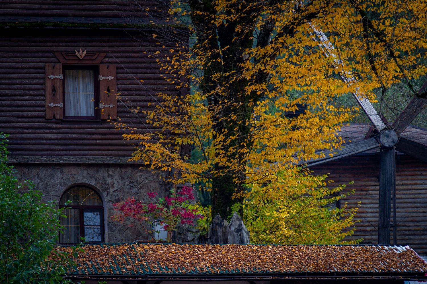 , Сергей Фаренюк