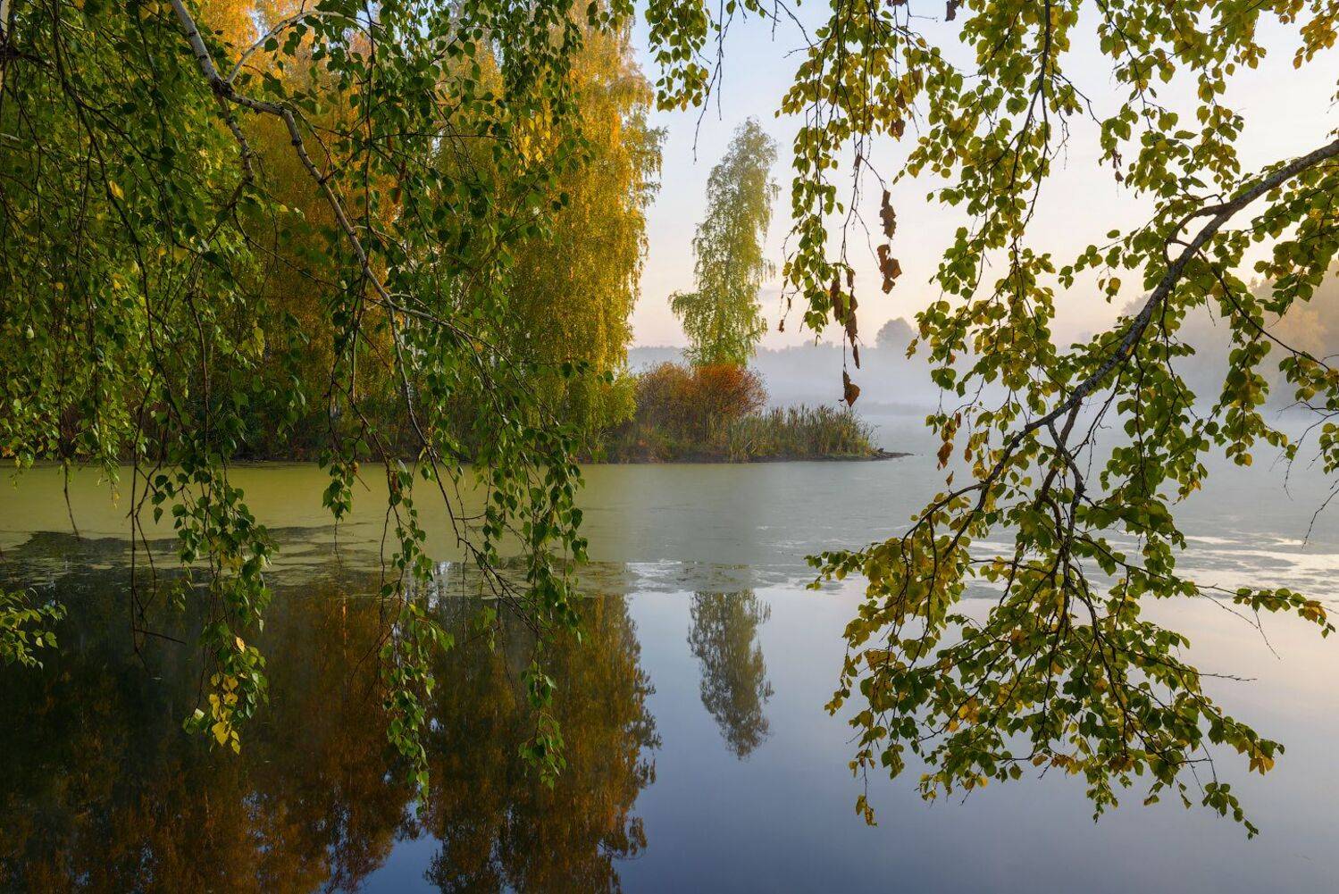 зауралье, курганская, Кутыгин Эдуард