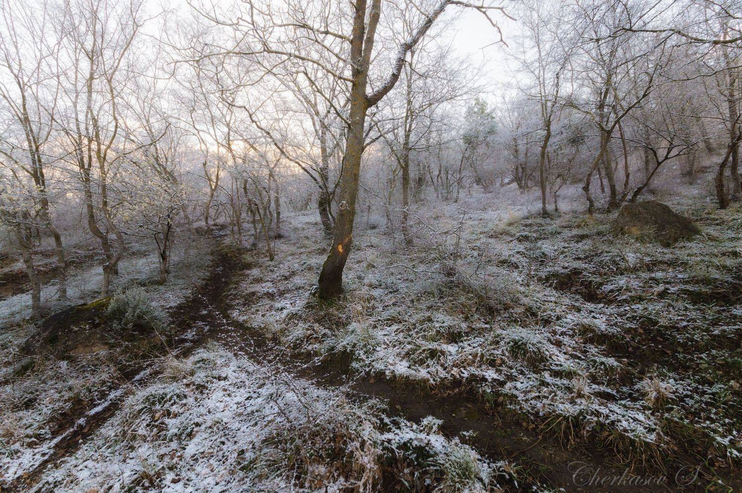 крым, весна,, Черкасов Сергей
