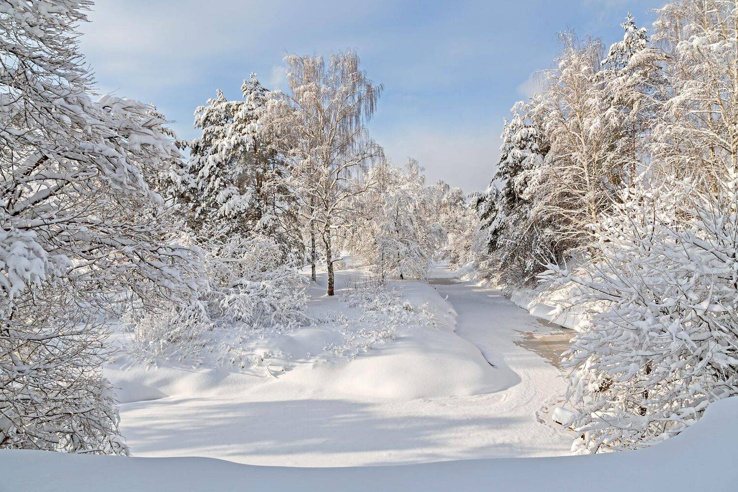 р. вольга (пгт. вольгинский, петушинский р-он владимирской обл.), Борис Новиков