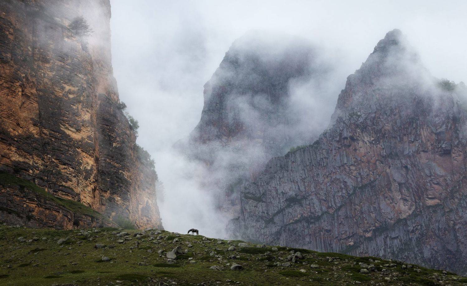 , Михаил Гапонов