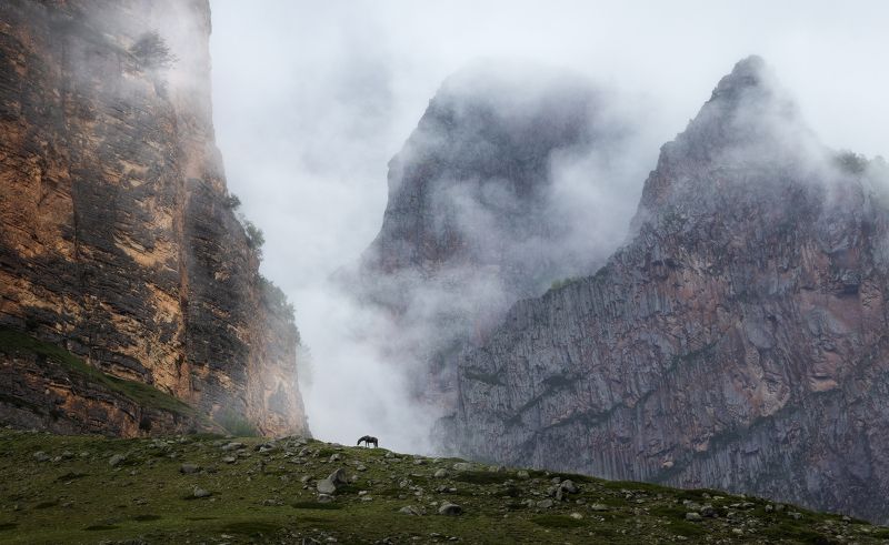 ... фото превью