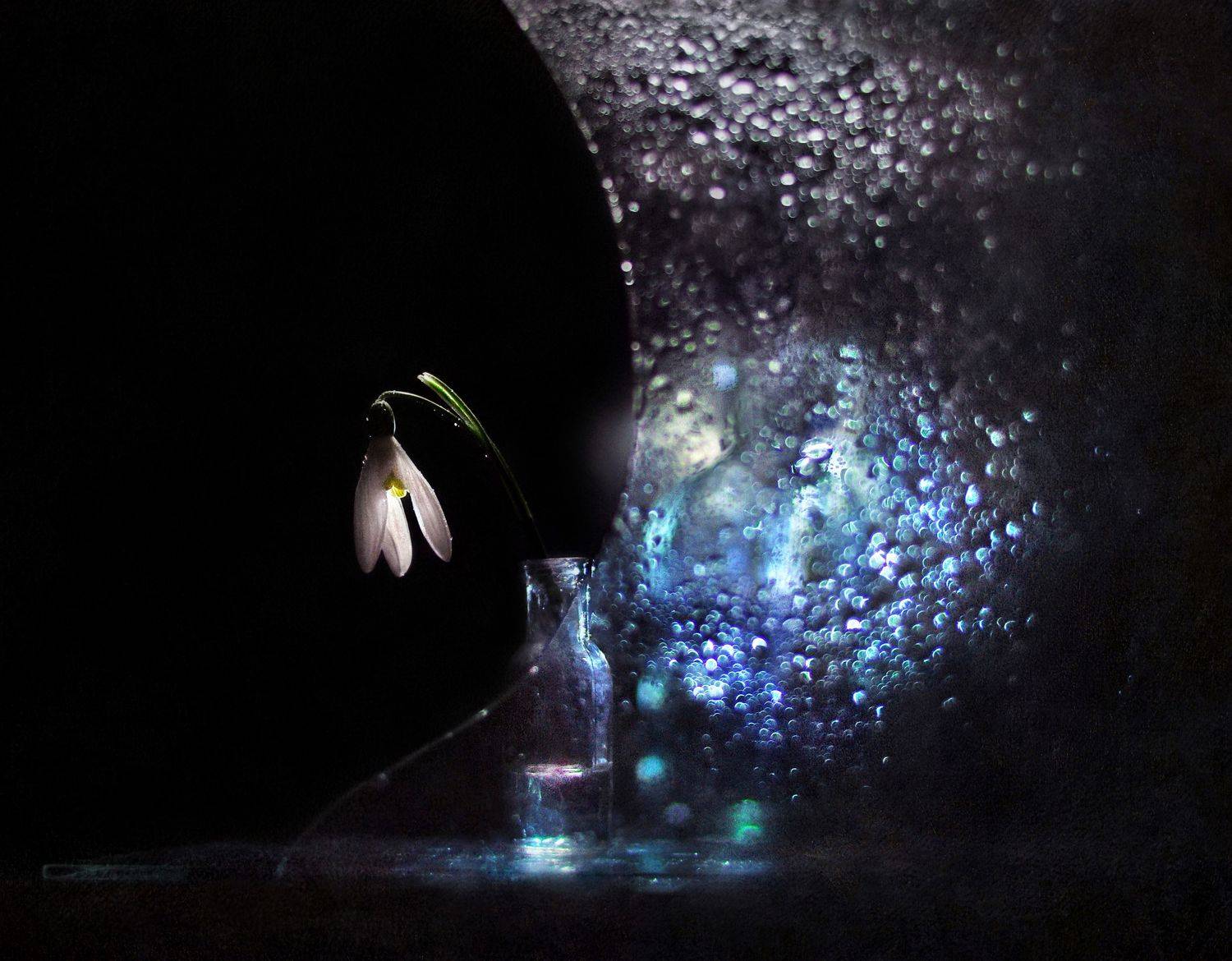 , Буглак Инна