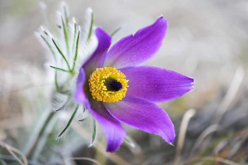 2023 фото превью