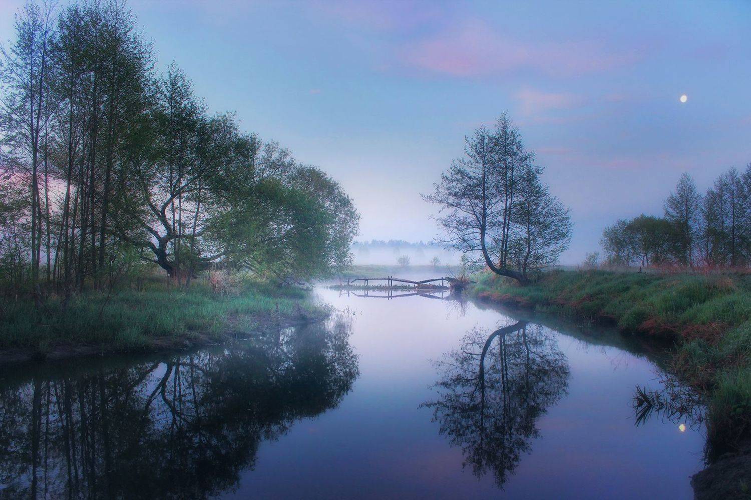 , Игорь Денисов