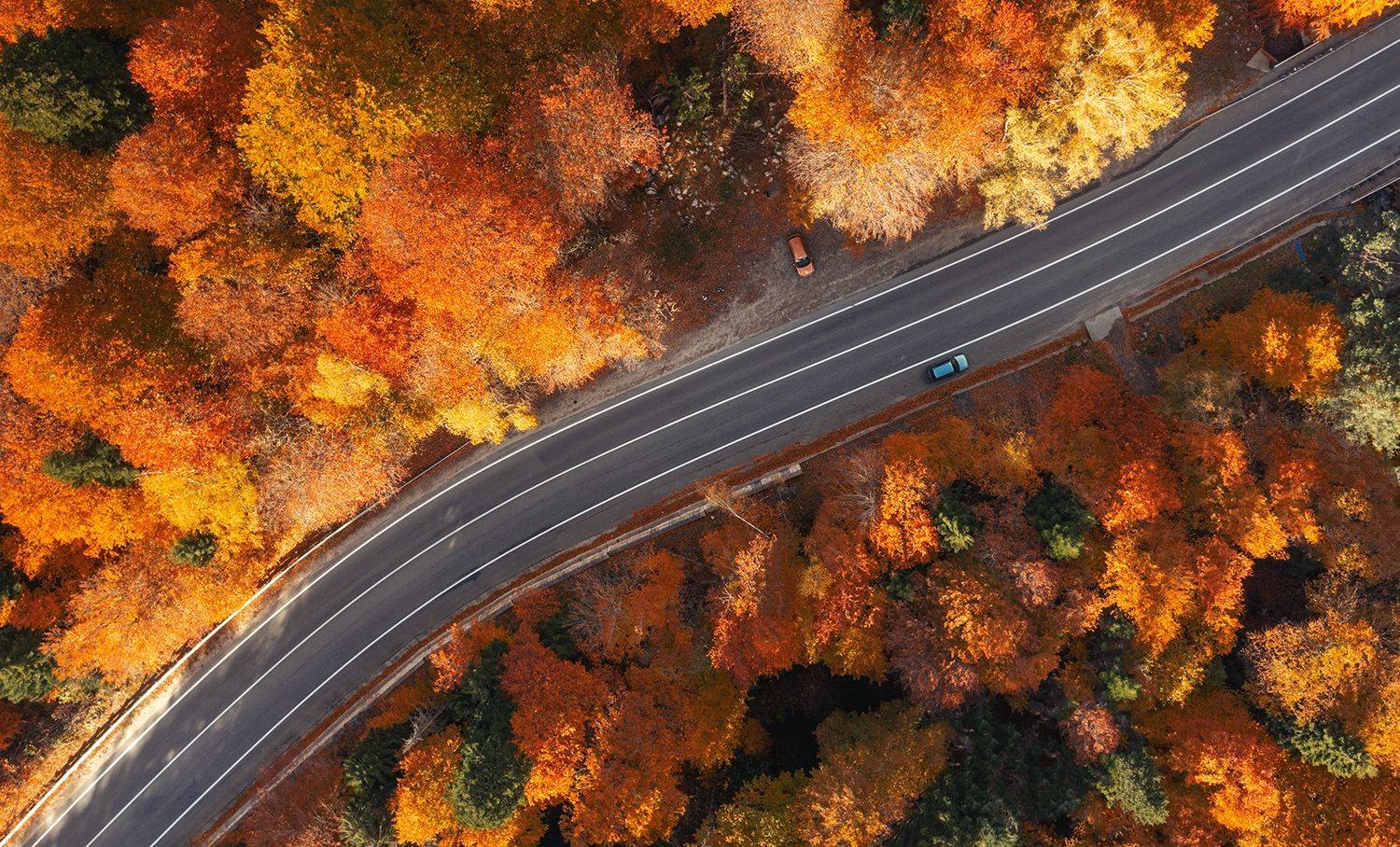 , Овсенёв Александр