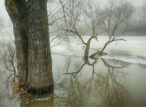 Лики весны. Март.