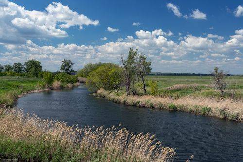 Сухая Губерля