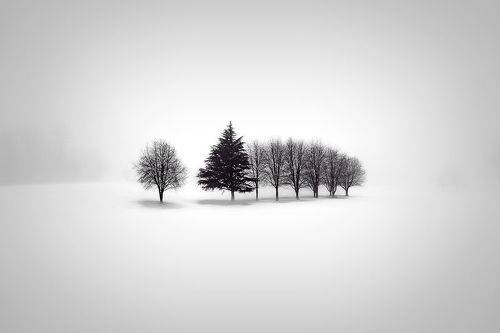 Winter fog