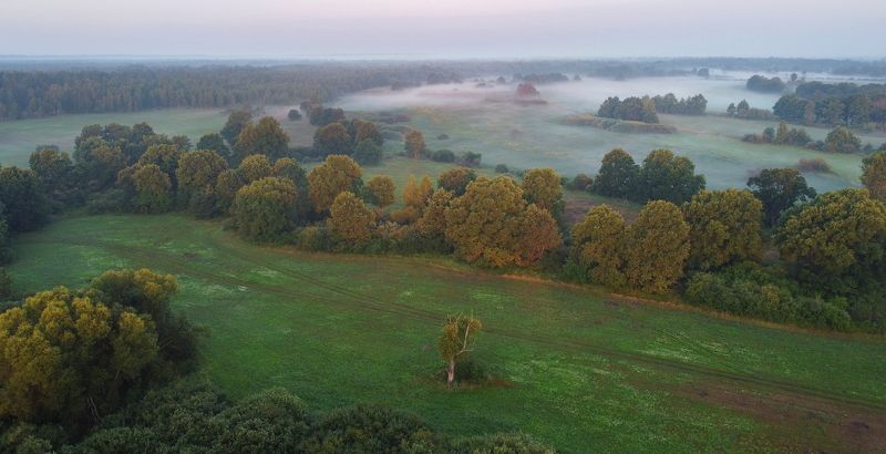 Летнее утро над пойменными лугами фото превью